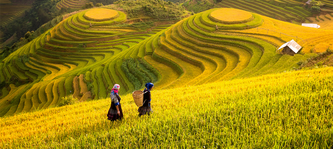 Off the Beaten Track in Vietnam and Laos