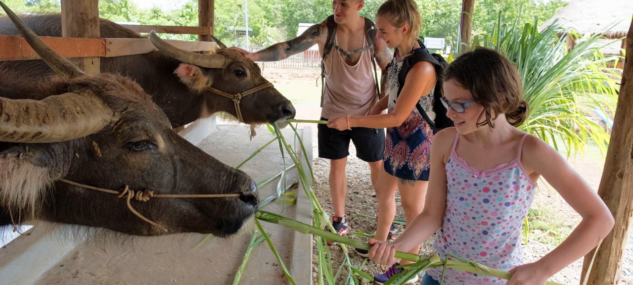 Family Cultural Exploration in Laos
