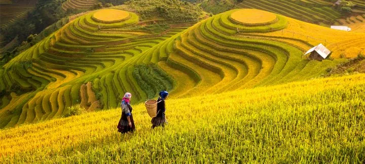 Off the Beaten Track in Vietnam and Laos